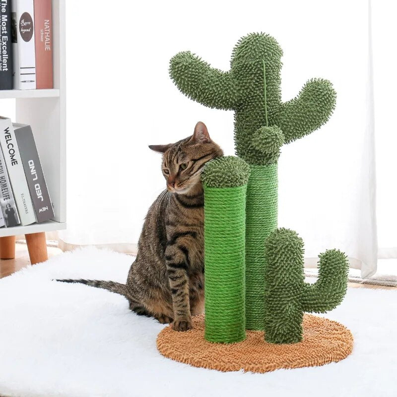 Griffoir grand cactus vert/désert pour chat