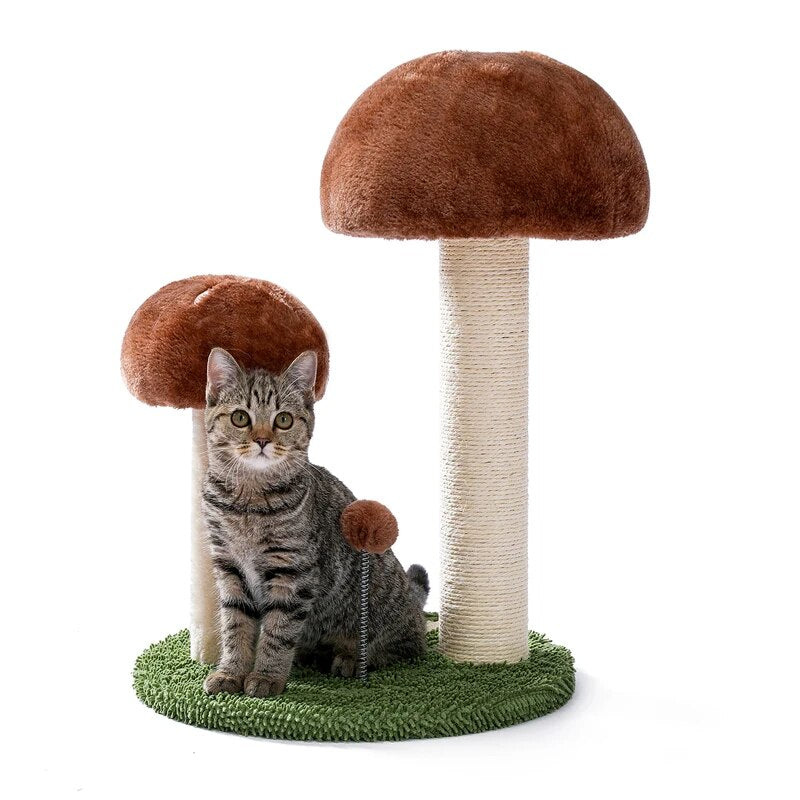 Griffoir champignons avec balle pour chatons