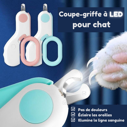 Coupe-Griffe à LED lumineux professionnel pour chat