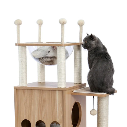 Arbre à chat en bois avec échelle avec balle de jeu pour chaton