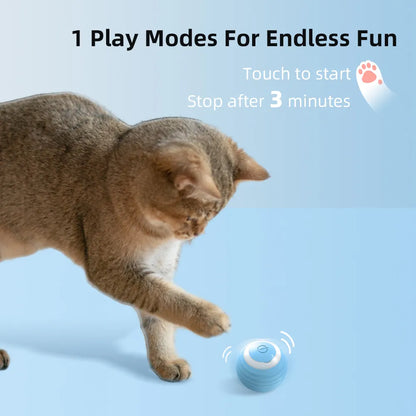 Balle de jeu autonome électrique pour chat