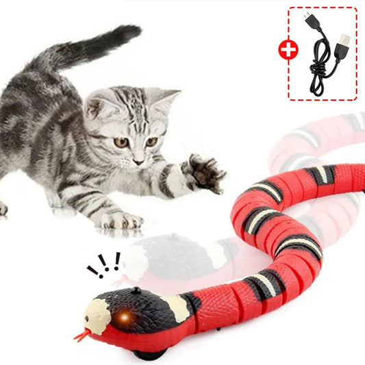 Jouet serpent de chasse électronique pour chat