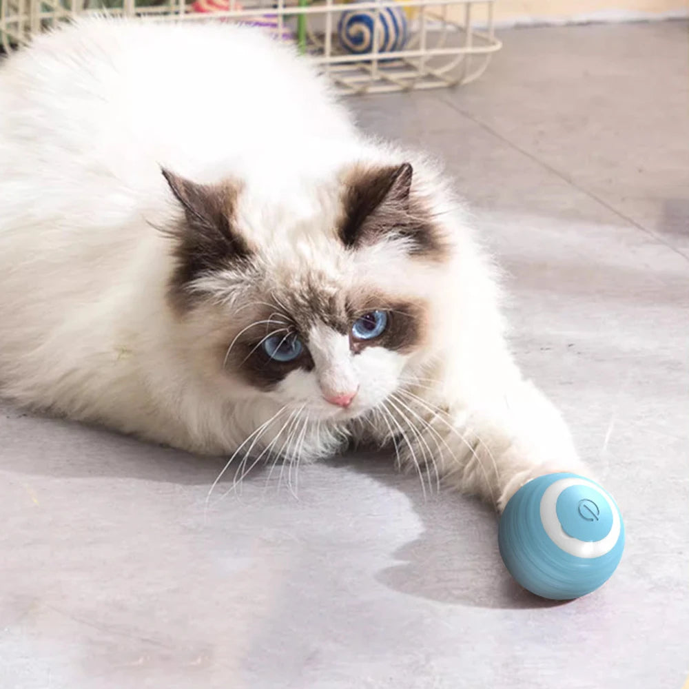 Balle de jeu autonome électrique pour chat