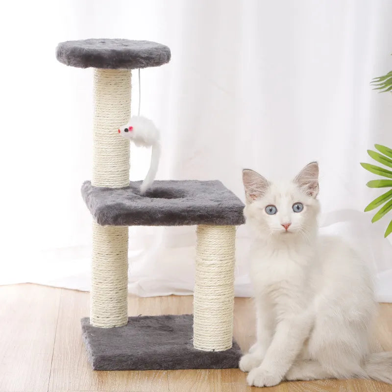 Petit arbre à chat pour chaton avec sisal et souris