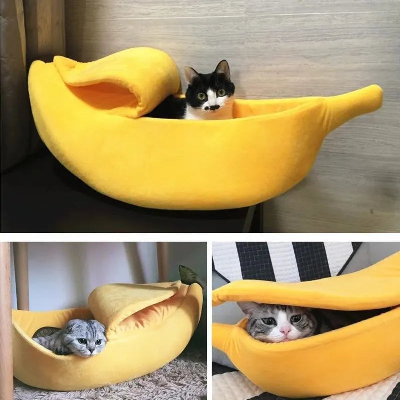 Niche banane épluchée pour chat