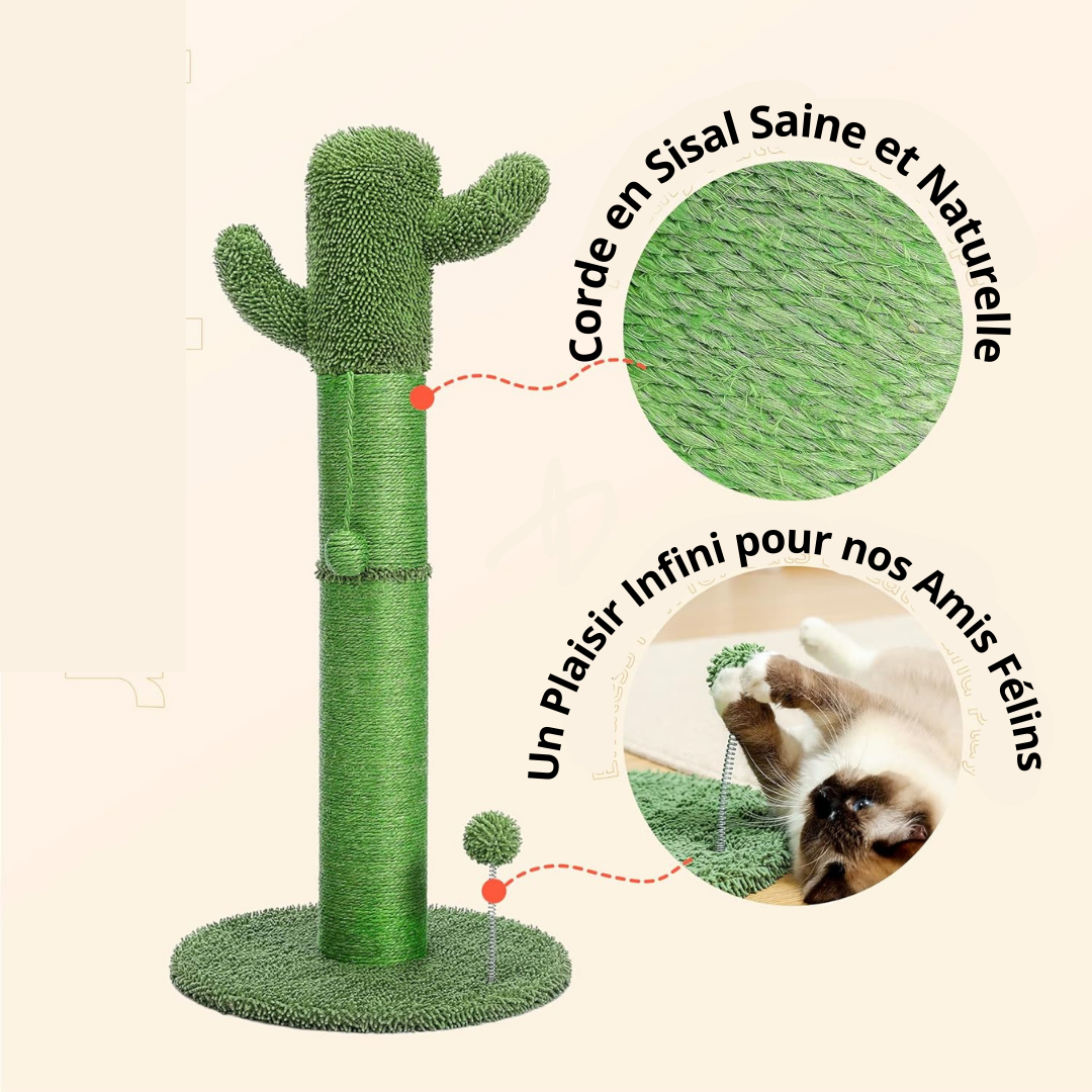 Griffoir cactus 85 cm avec balle suspendue pour chat