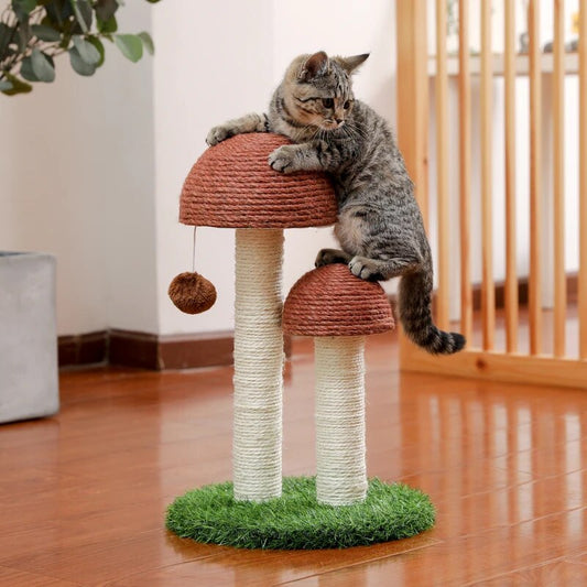 Mushroom scratching post with ball for kittens