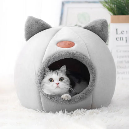 Igloo tête de chat