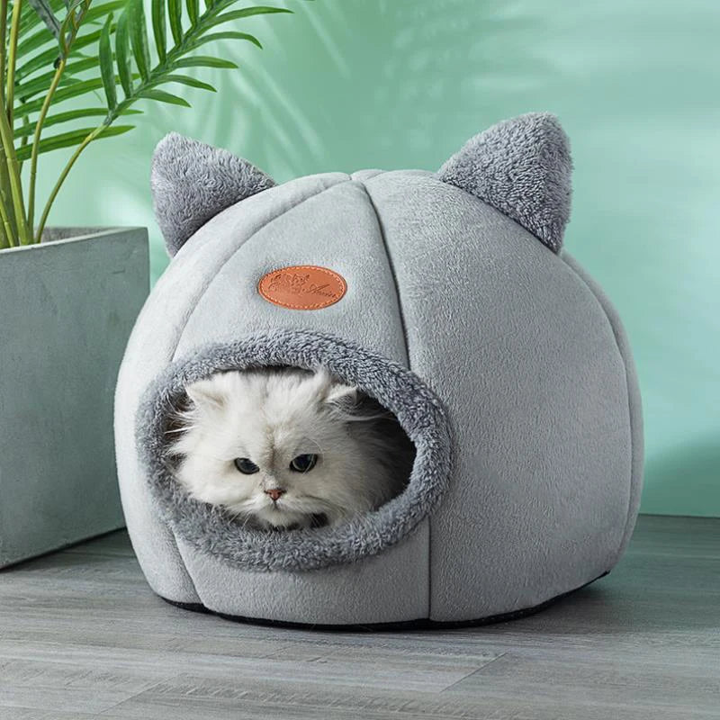 Igloo tête de chat