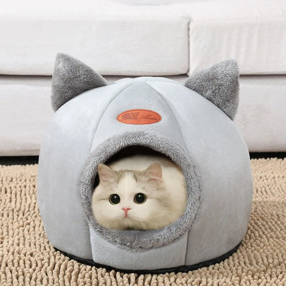 Igloo tête de chat