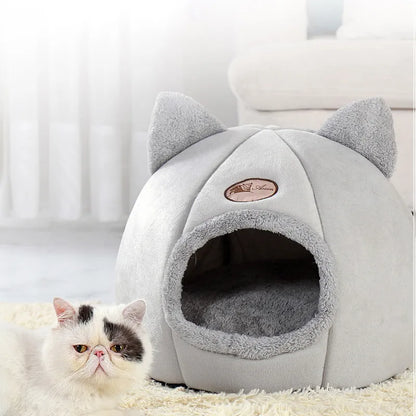 Igloo tête de chat